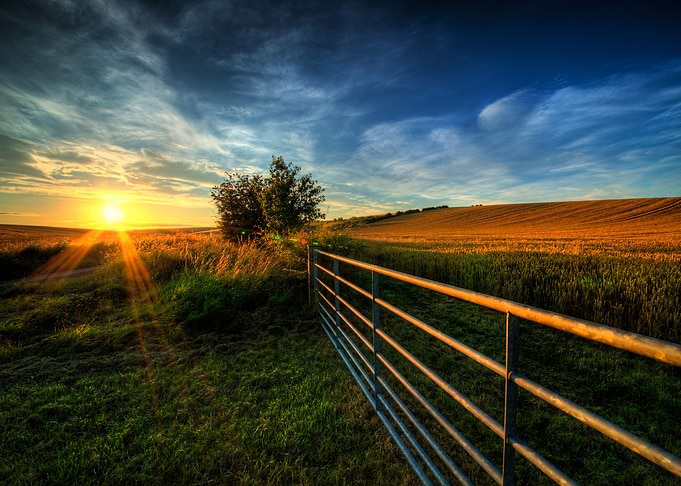 Evening Sun