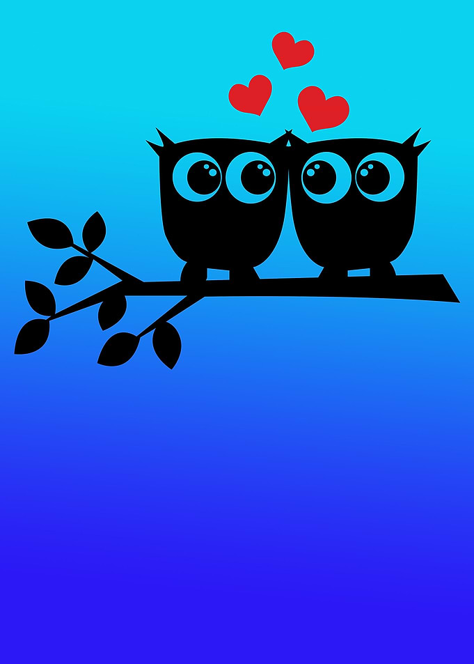 couple birds