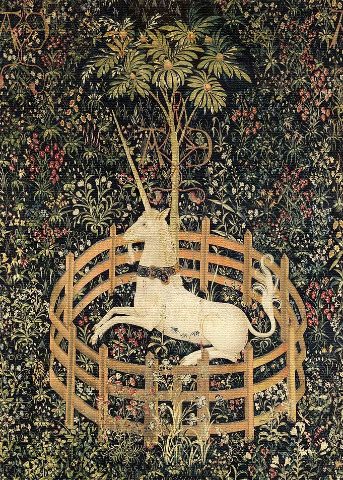 Unicorn in Captivity