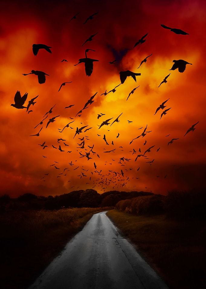 Fantasy Birds