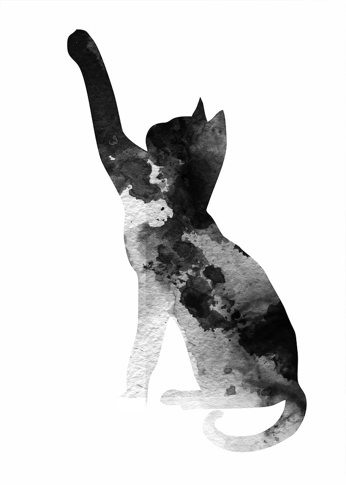Amazing ink cat
