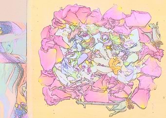 Remembering Spring