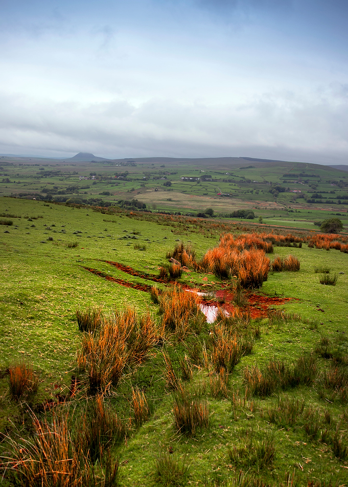 Heather Hills
