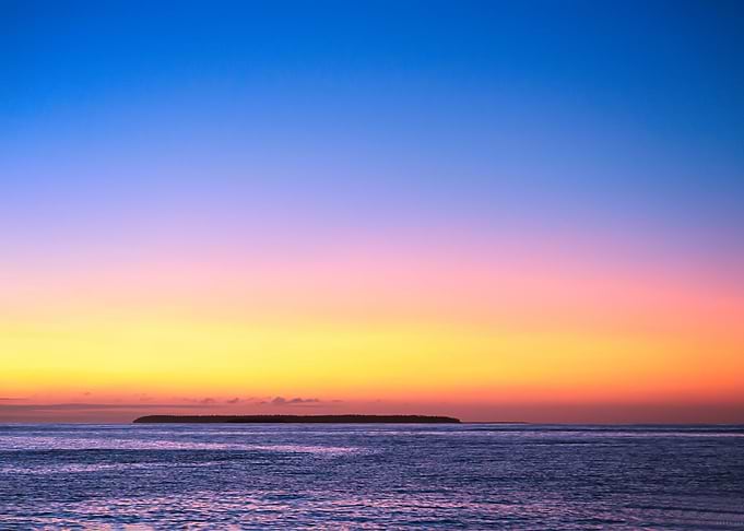 Koa Tonga