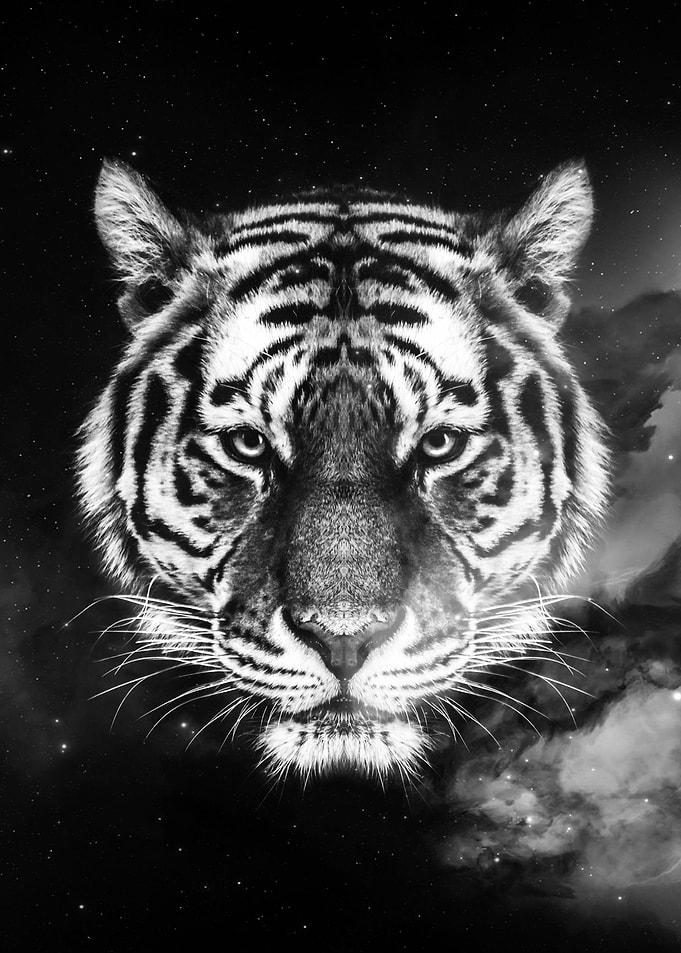 Galaxy Tiger face wallpape