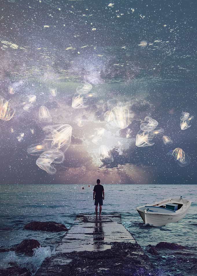 Dream