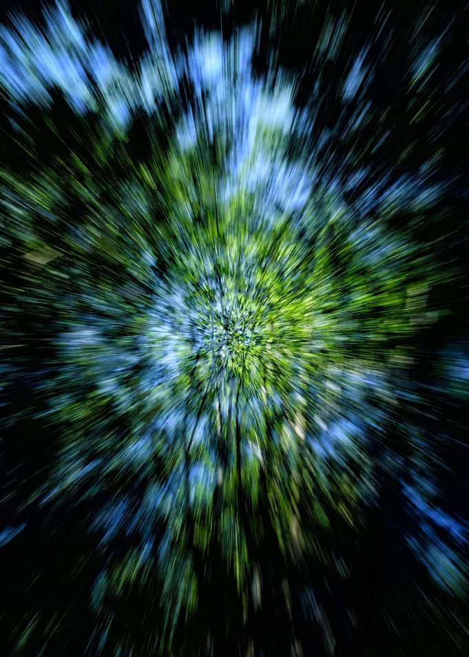 To the sky