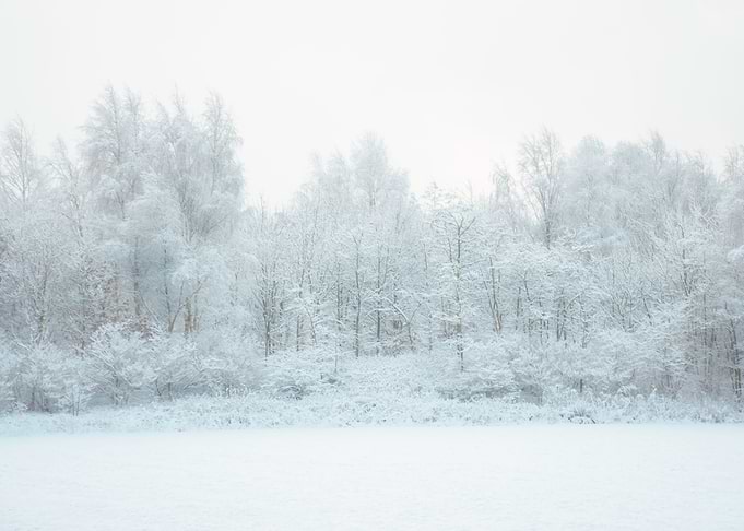 Winters Coming
