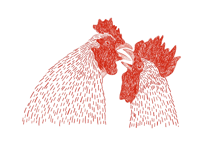 Gay Cockerels