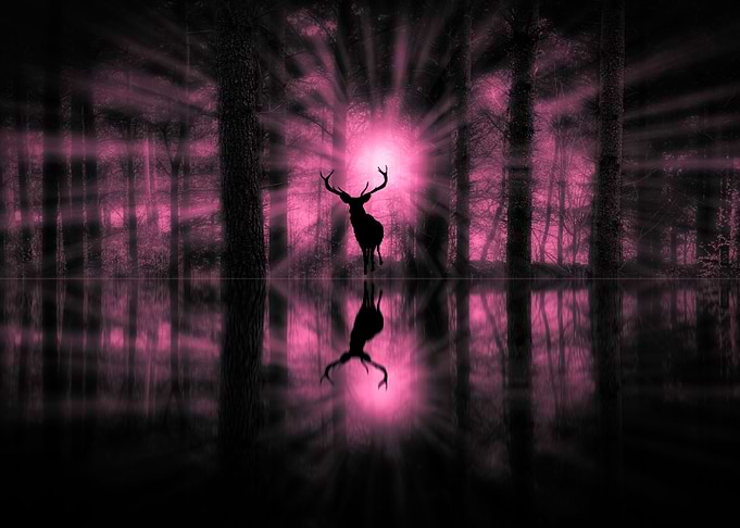 Reflections
