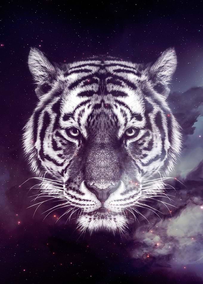 Galaxy Tiger face wallpape