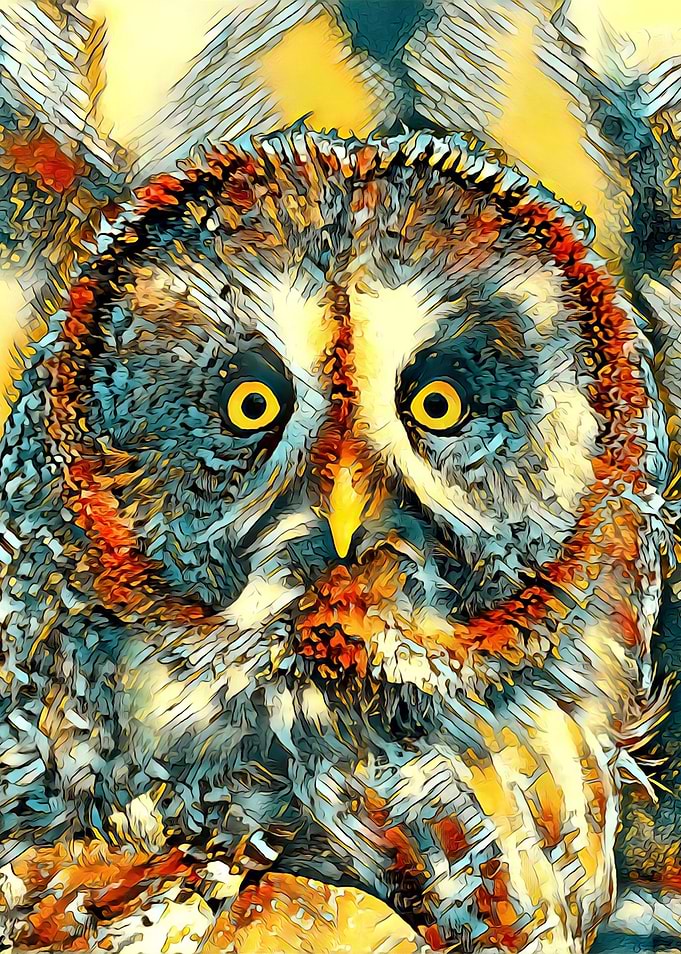 AnimalArt Owl 002