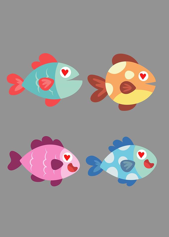 cute fish