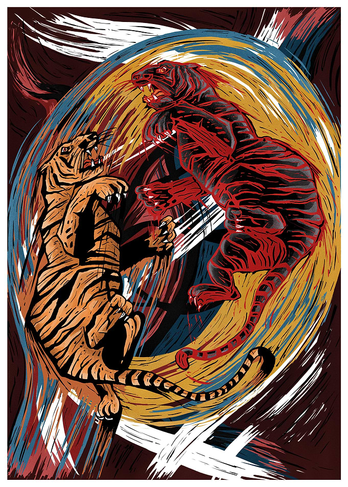 Duel of tigers