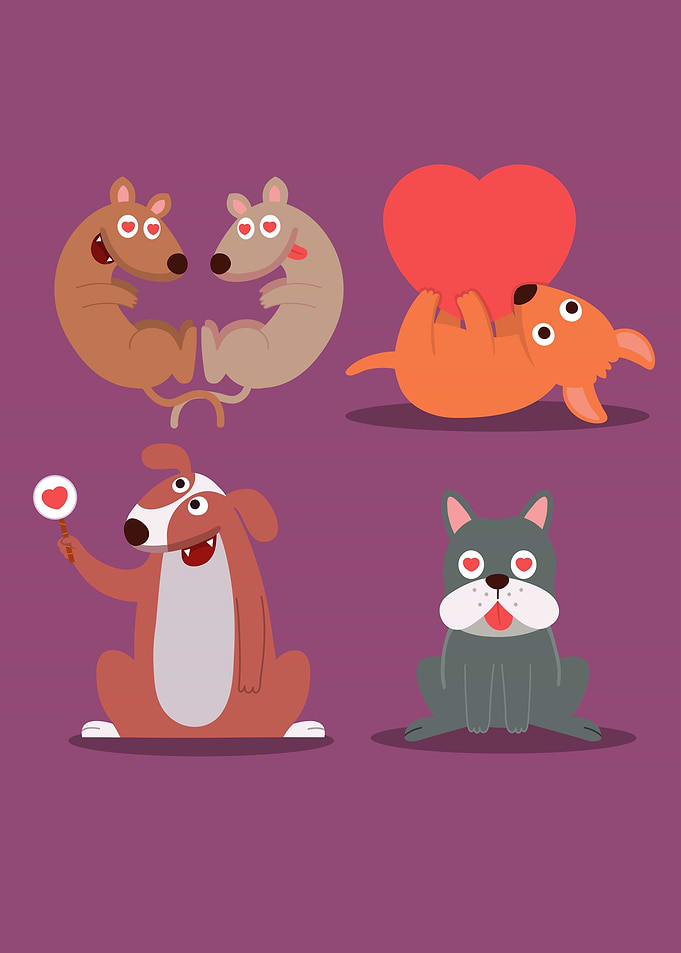 cute dog
