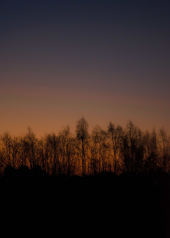 Silhouettes