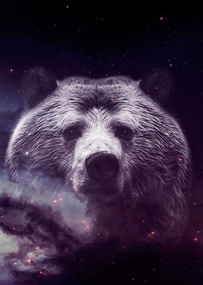 Galaxy Bear face wallpaper