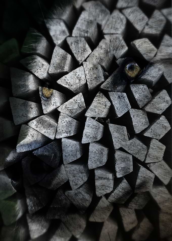 The White Wolf Of The Pack