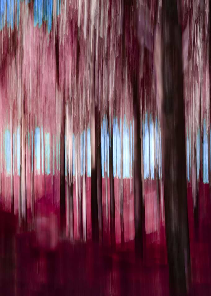 Forest of horror
