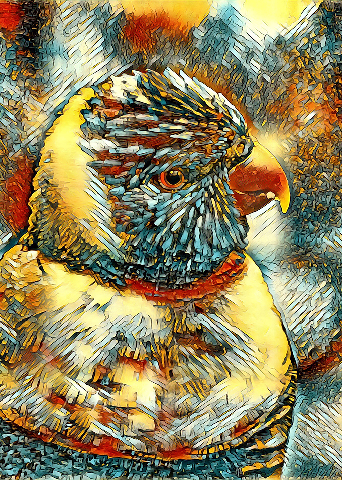 AnimalArt Lory 001