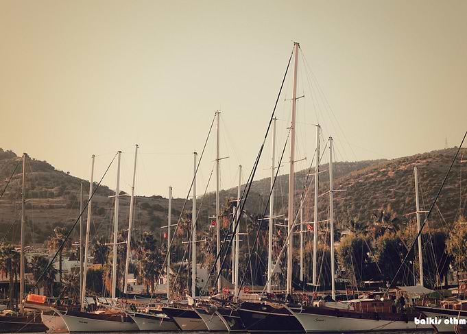 bodrum liman