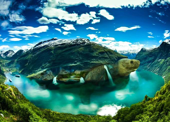 MOUNTAIN TURTLE