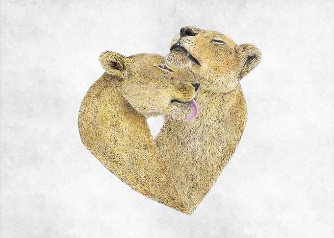 Lioness Lovers