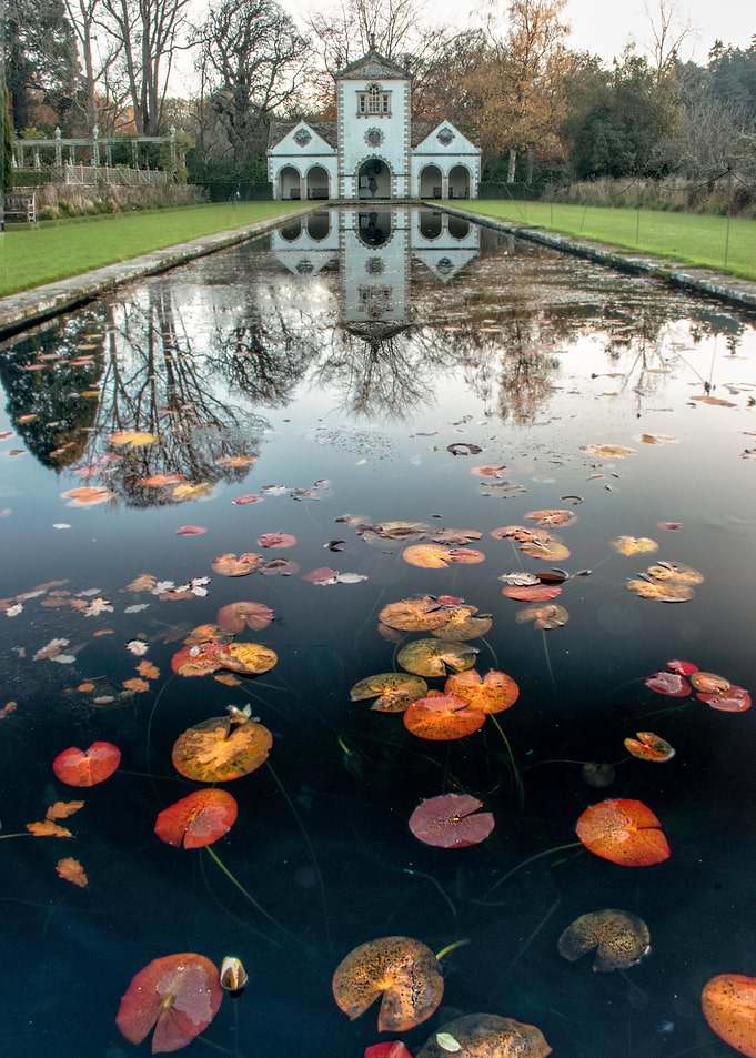 Reflections