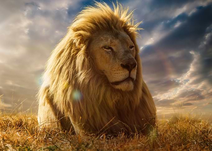 The Big King