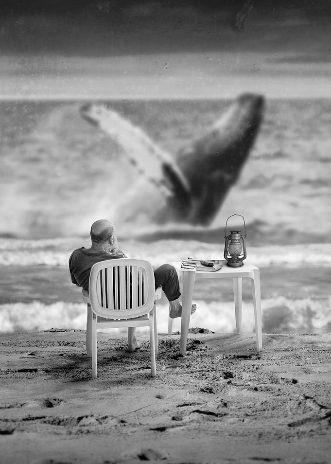 Ocean meditation