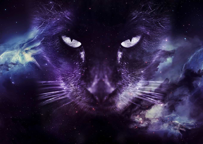 Galaxy Cat face wallpaper