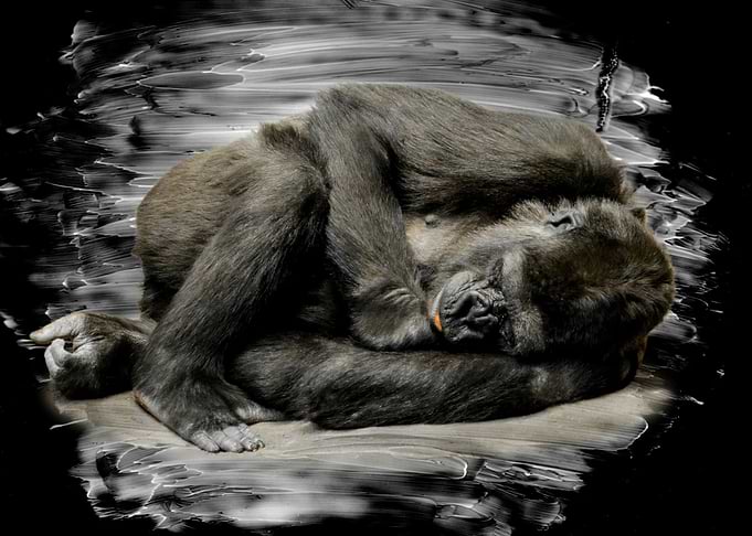 nap time
