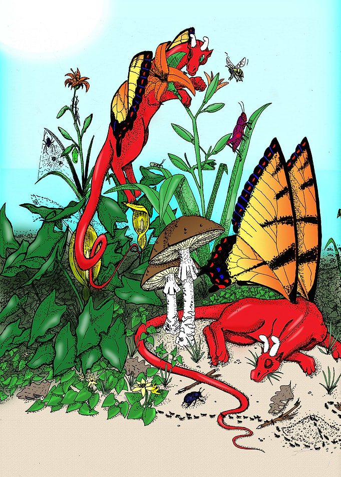 Fairy Dragons
