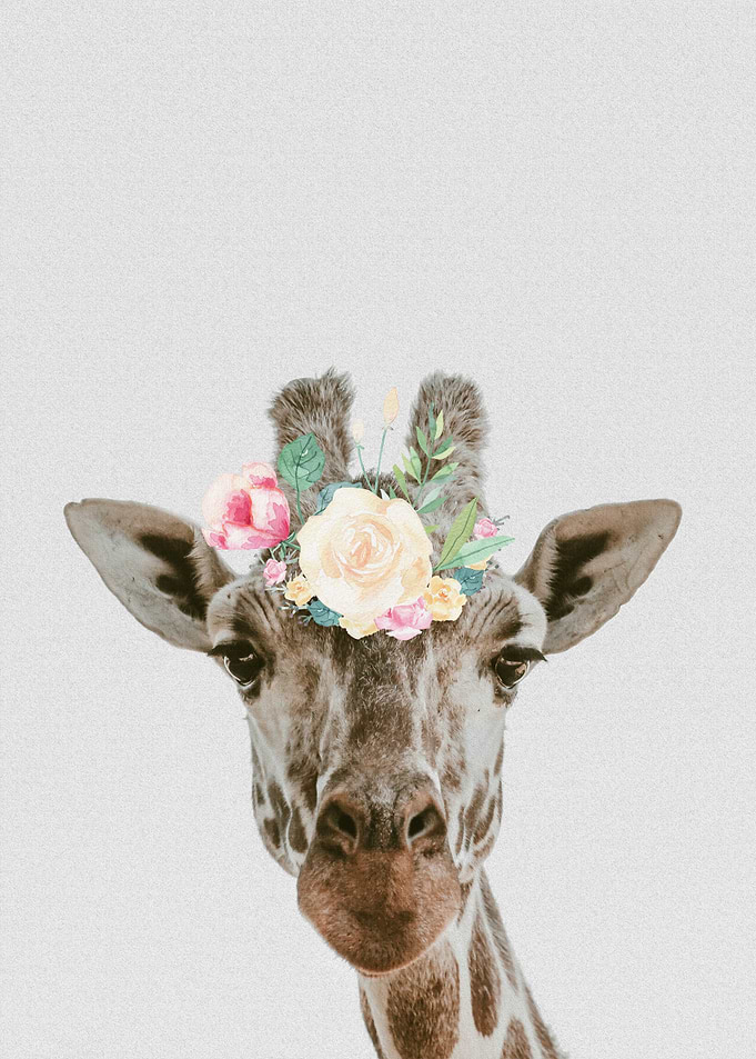 Jovie the Giraffe