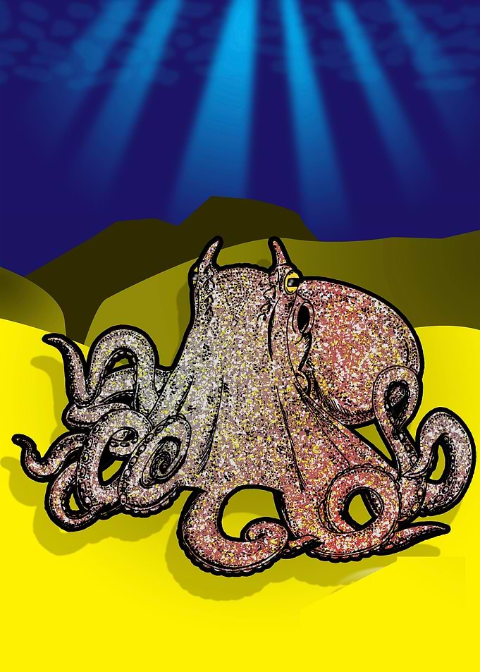 Octopus