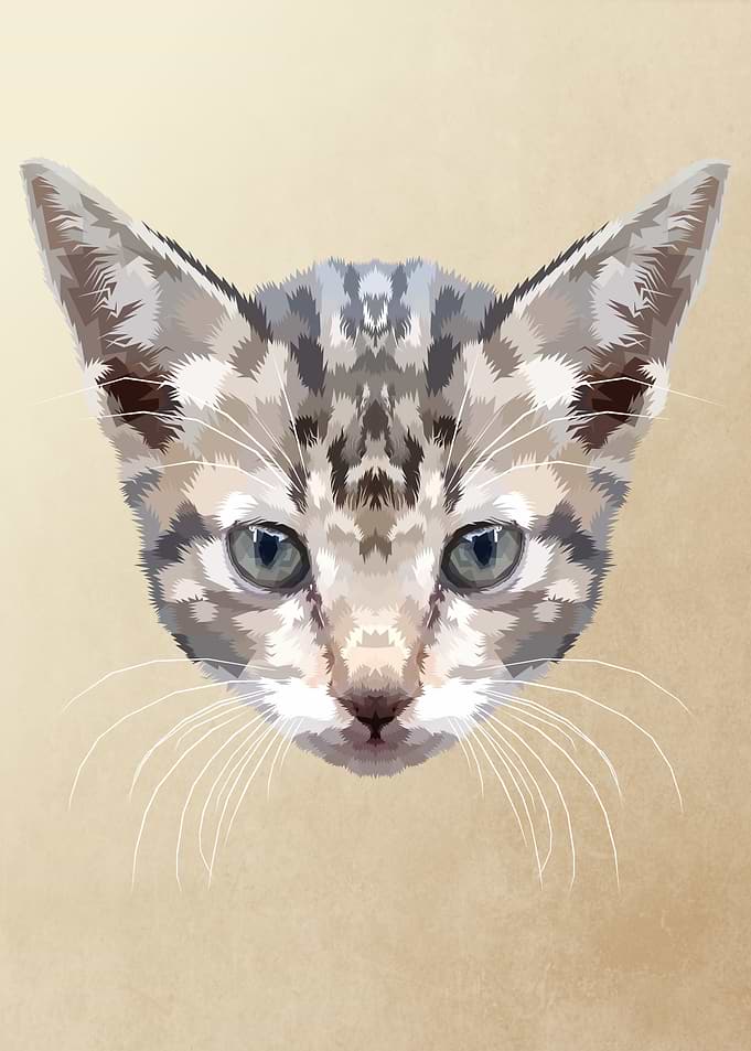 kitten on geometric art