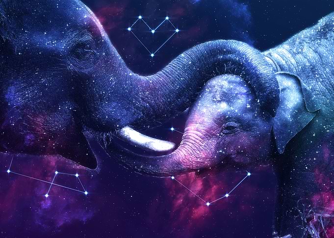 Galaxy Elephant Mom Love