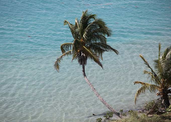 Paradise