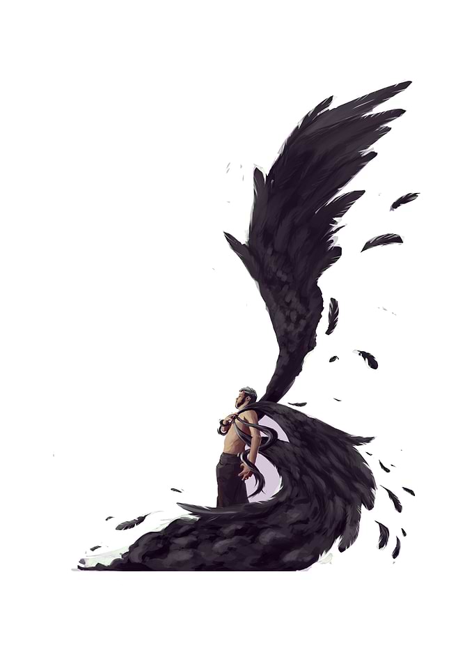 If this wings could fly