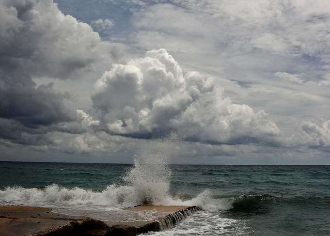 a unique day at the beach