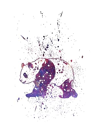 Panda Galaxy Splatter