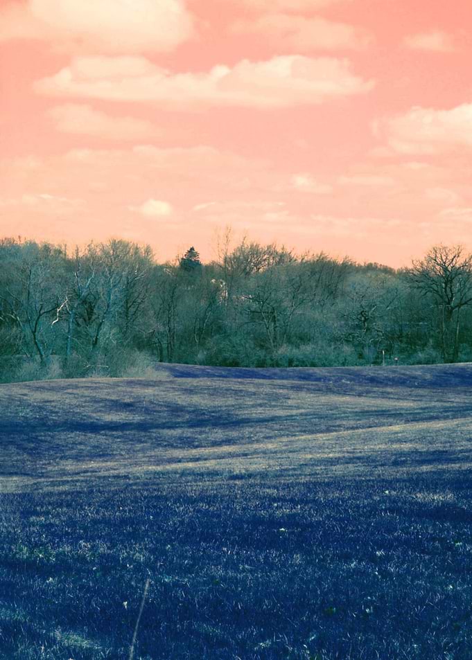 Burlington Farm Country