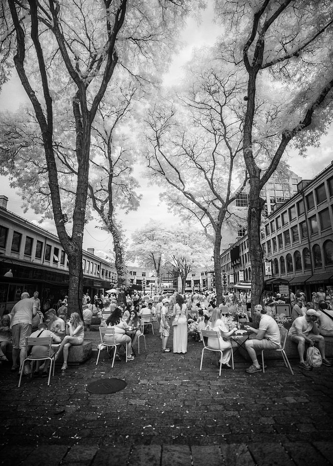 Streets of Boston