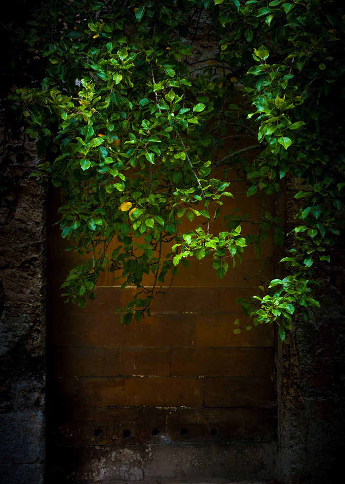 Hidden Door