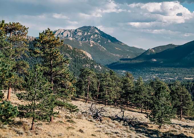 Rocky Mountain