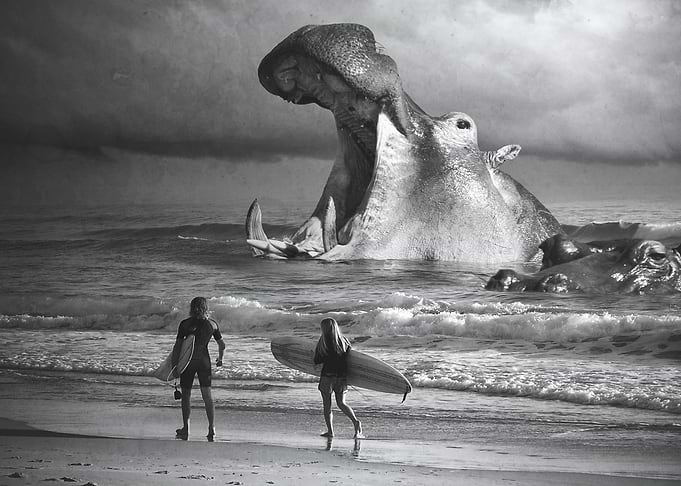 No surfing today