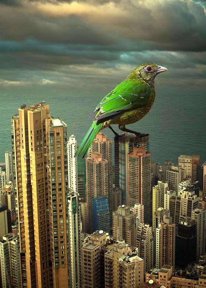 Surreal Hong Kong
