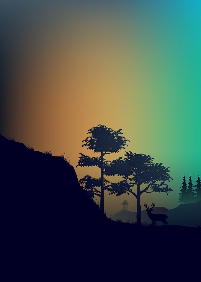 Nature View