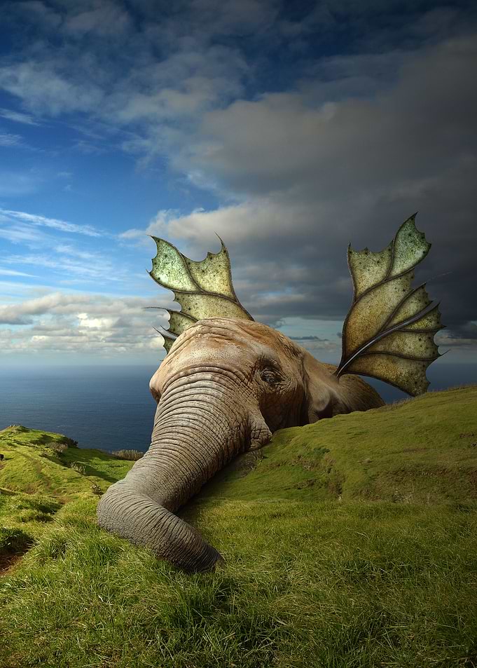 Learning to fly