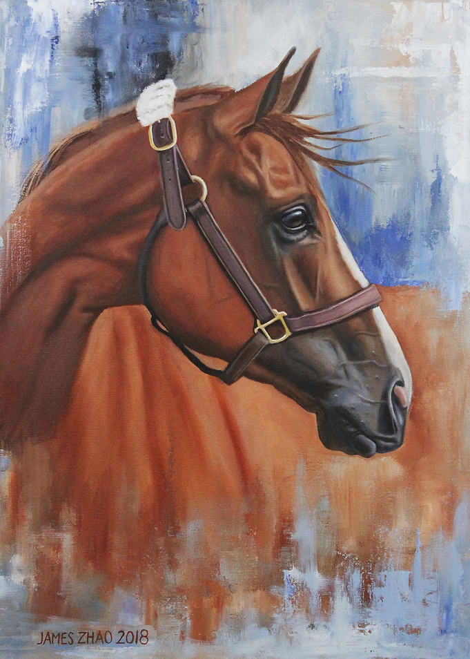 California Chrome2